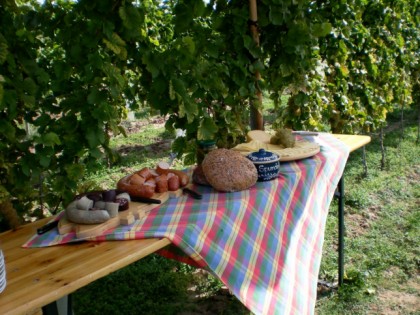 照片: Weingut Holzmühle